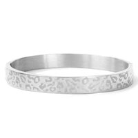 Zilverkleurige stainless steel armbanden