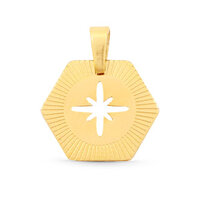 Bedel van stainless steel (RVS) star goud