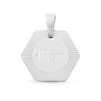 Bedels van stainless steel (RVS) mom zilverkleurig