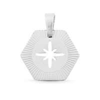 Bedels van stainless steel (RVS) star zilverkleurig