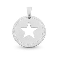 Bedels van stainless steel (RVS) ster zilverkleurig