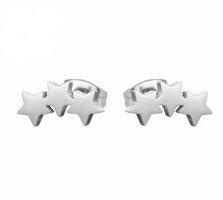 Roestvrij stalen oorbellen sterretjes