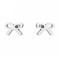 Roestvrij stalen oorbellen strikje zilverkleurig